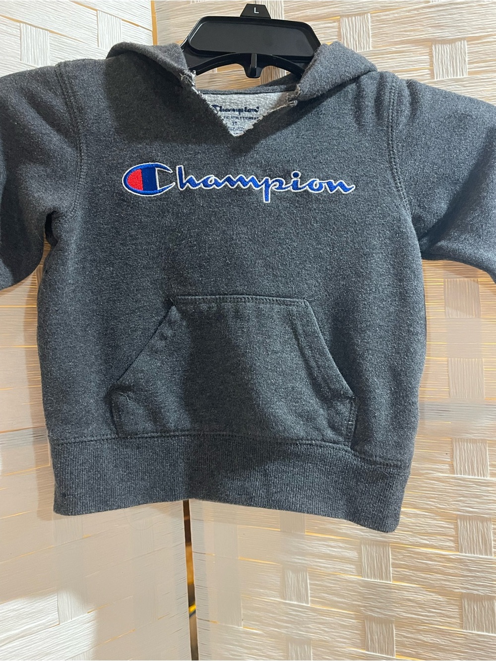 Champion Gray Logo Hoodie 2T Unisex